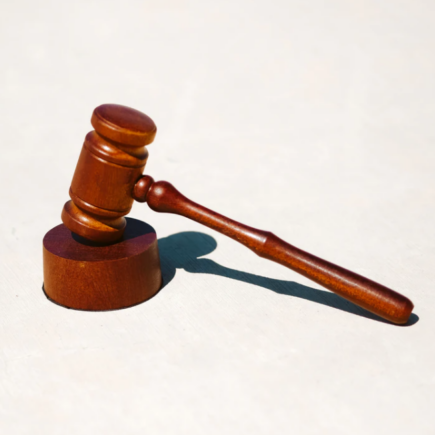 How You Can Protect Your Company From Employee and Customer Lawsuits?